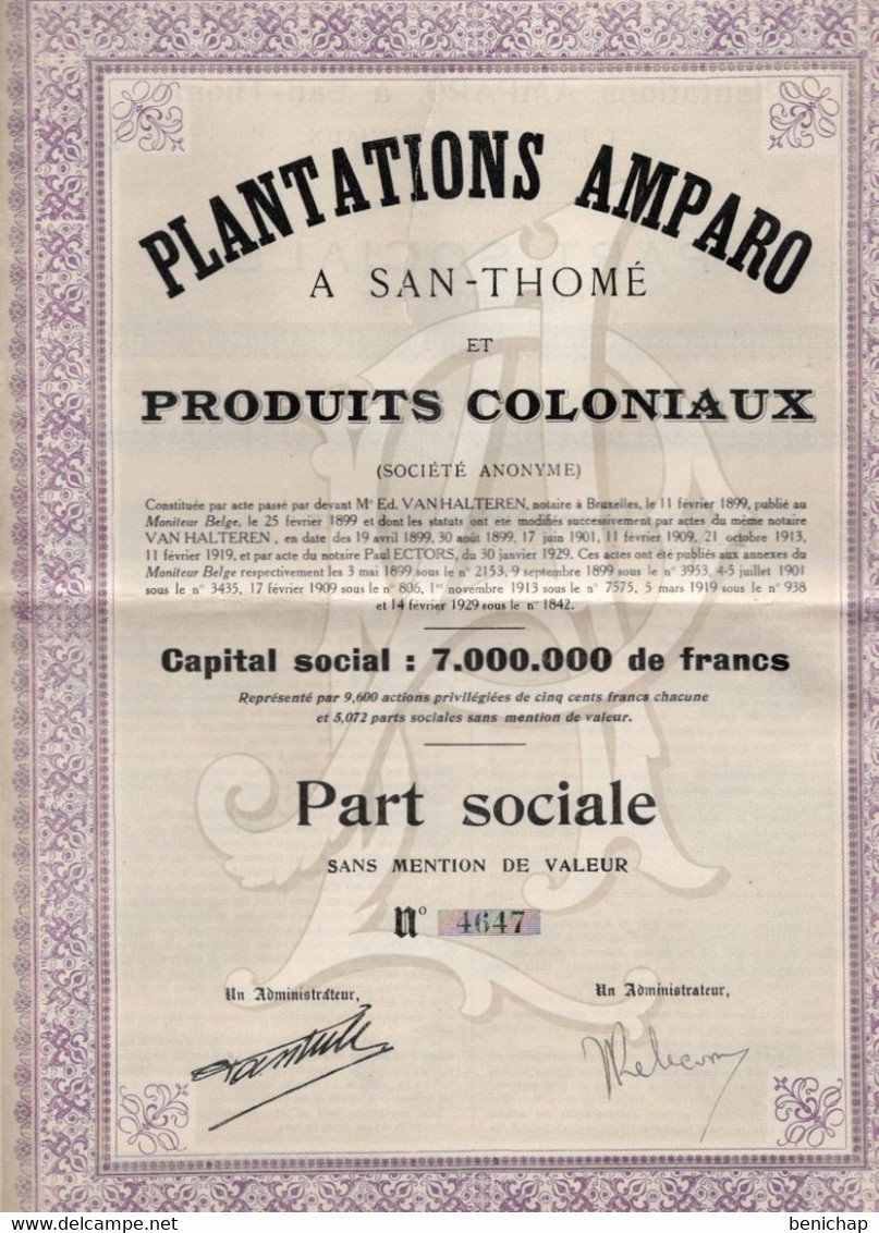Part Sociale Sans Mention De Valeur - Plantations AMPARO à San-Thomé - Produits Coloniaux 1929. - Agriculture