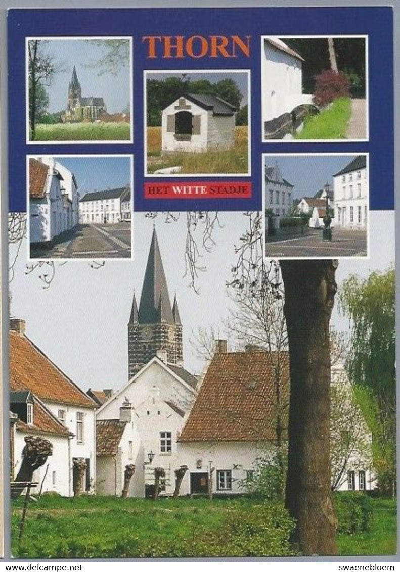 NL.- THORN HET WITTE STADJE. BEEKSTRAAT, WIJNGAARD, PANORAMA OOSTZIJDE, VELDKAPEL HUBERTUS, ONDER DE BOMEN. - Thorn