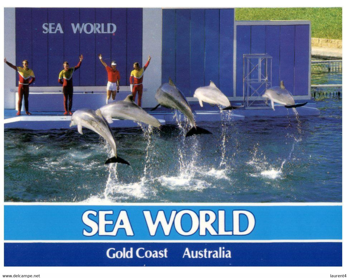 (V 25) Australia - QLD - Sea World - Dolphin Show - Gold Coast