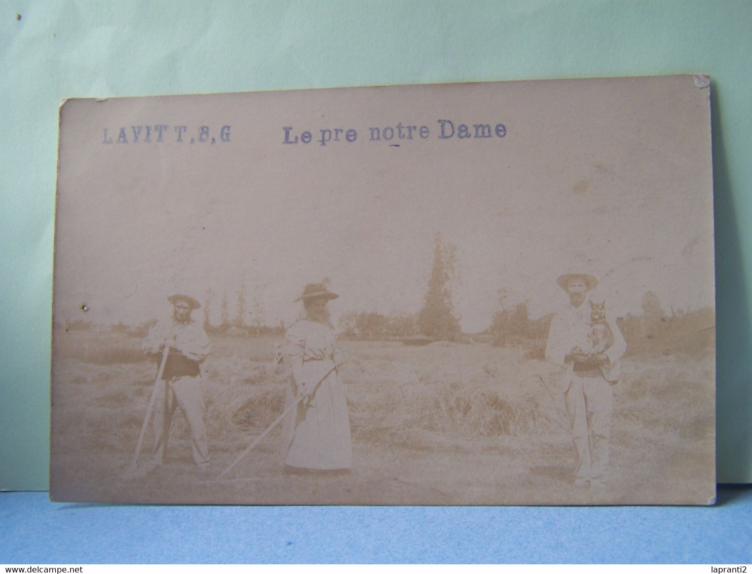 LAVIT (TARN ET GARONNE) L'AGRICULTURE. CARTE-PHOTO. LE PRE NOTRE DAME. - Lavit