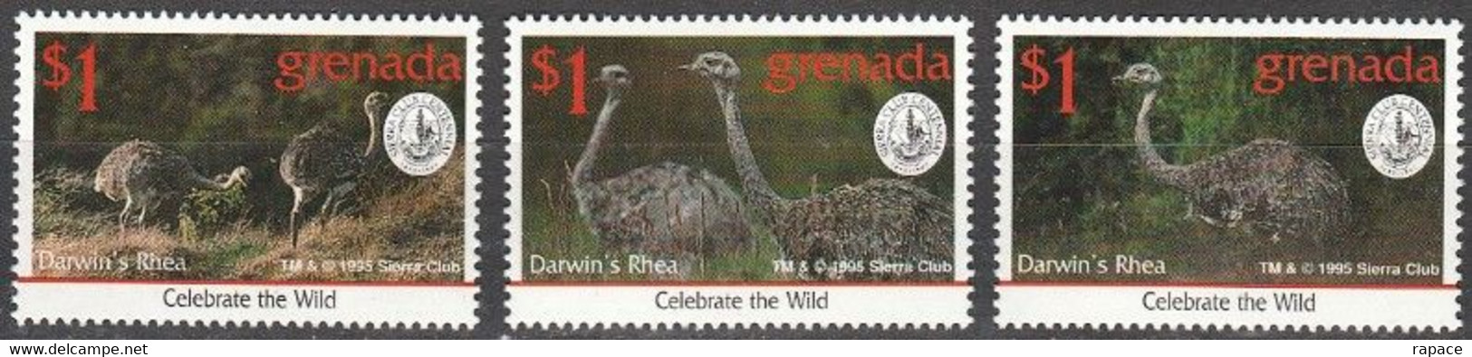 Grenade 1995 - Nandou De Darwin (Rhea Pennata) - Straussen- Und Laufvögel