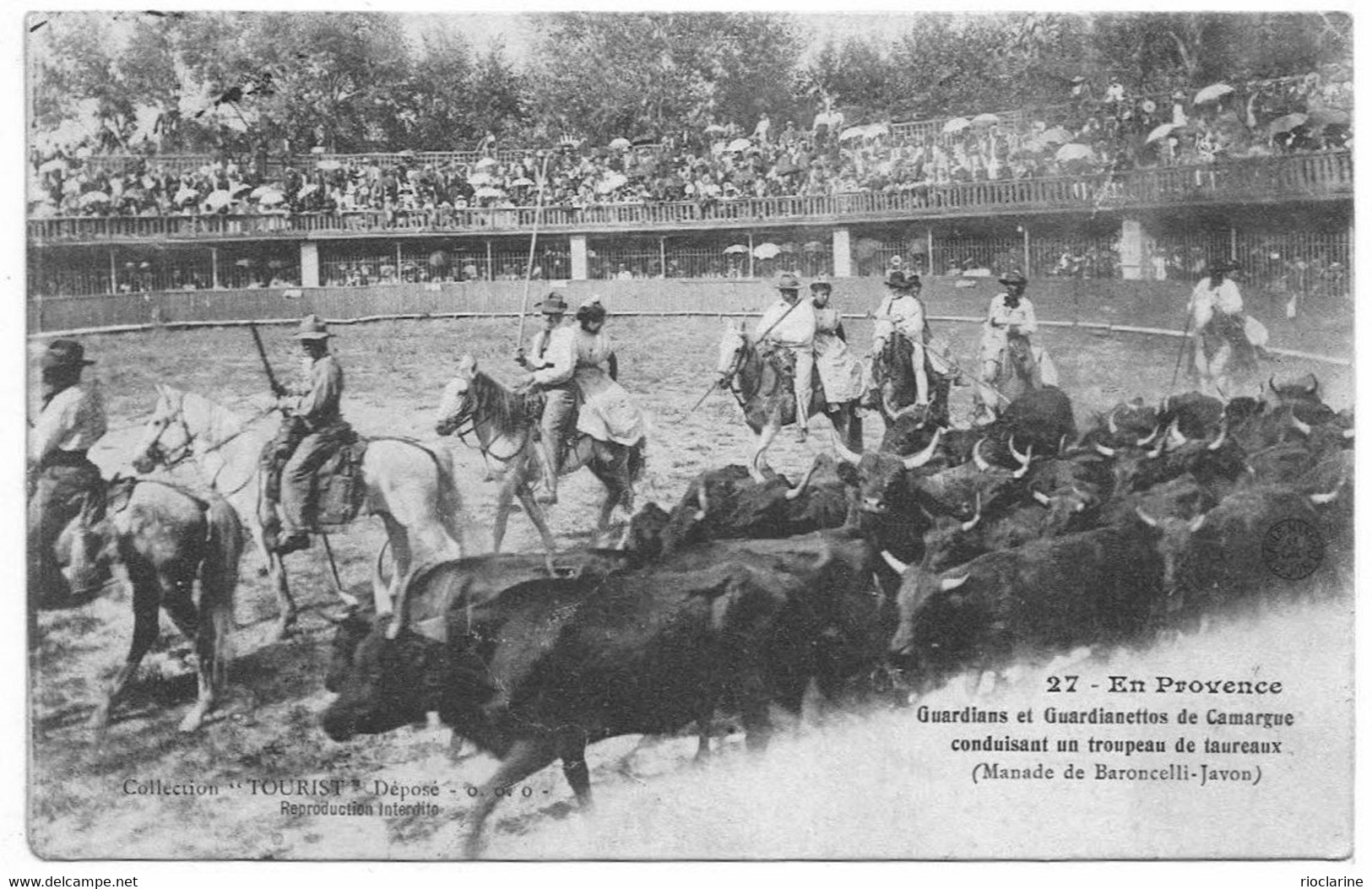 Beau  lot de 60 cpa: Arlesiennes Provence Camargue, Gardians Frédéric Mistral