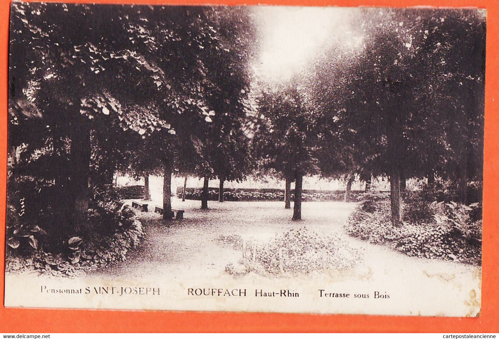 X68299 ROUFFACH 68-Haut Rhin Pensionnat SAINT-JOSEPH St Terrasse Sous Bois 1930à René SCHOLLER Ste-Marie-aux-Mines - Rouffach