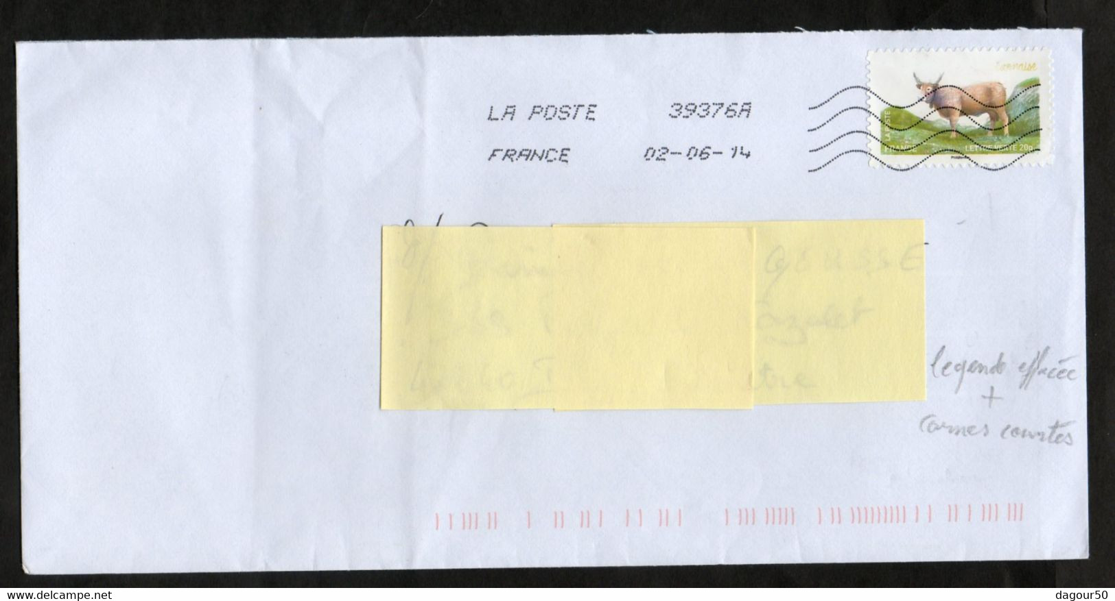 Vache Béarnaise,  Légende Effacée Et Cornes Raccourcies,  Sur Lettre - Lettres & Documents