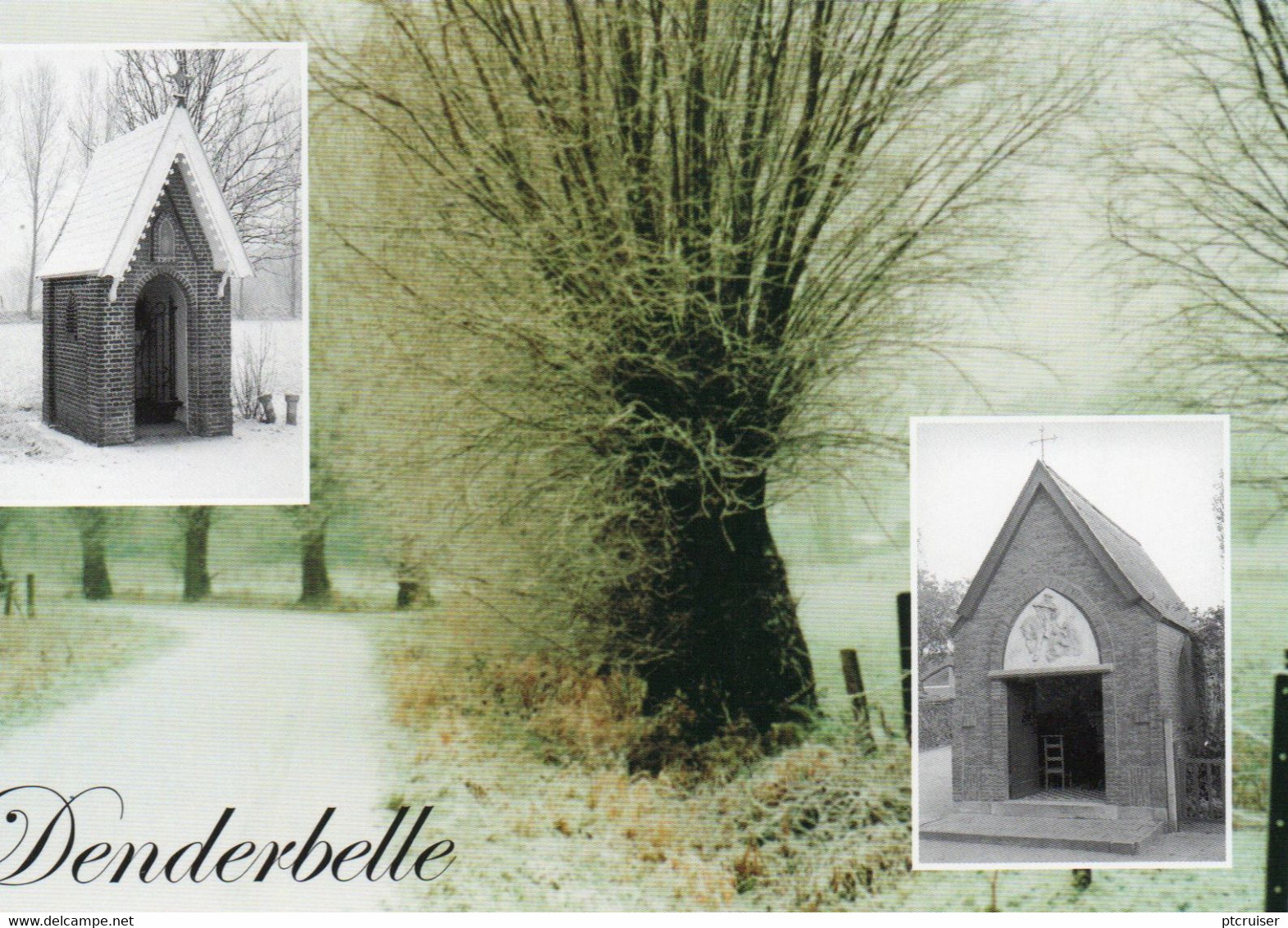 LEBBEKE DENDERBELLE COMITE BELLE 2000 - Lebbeke