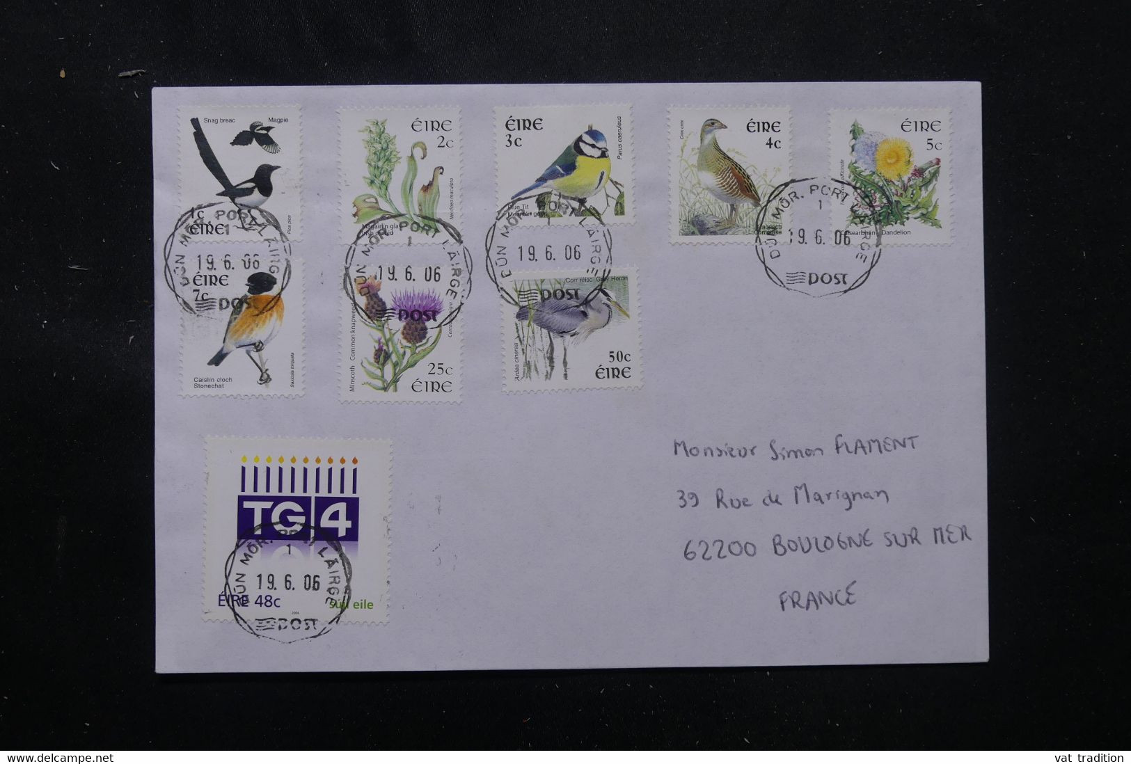 IRLANDE - Enveloppe Pour La France En 2006, Affranchissement Oiseaux - L 76292 - Storia Postale