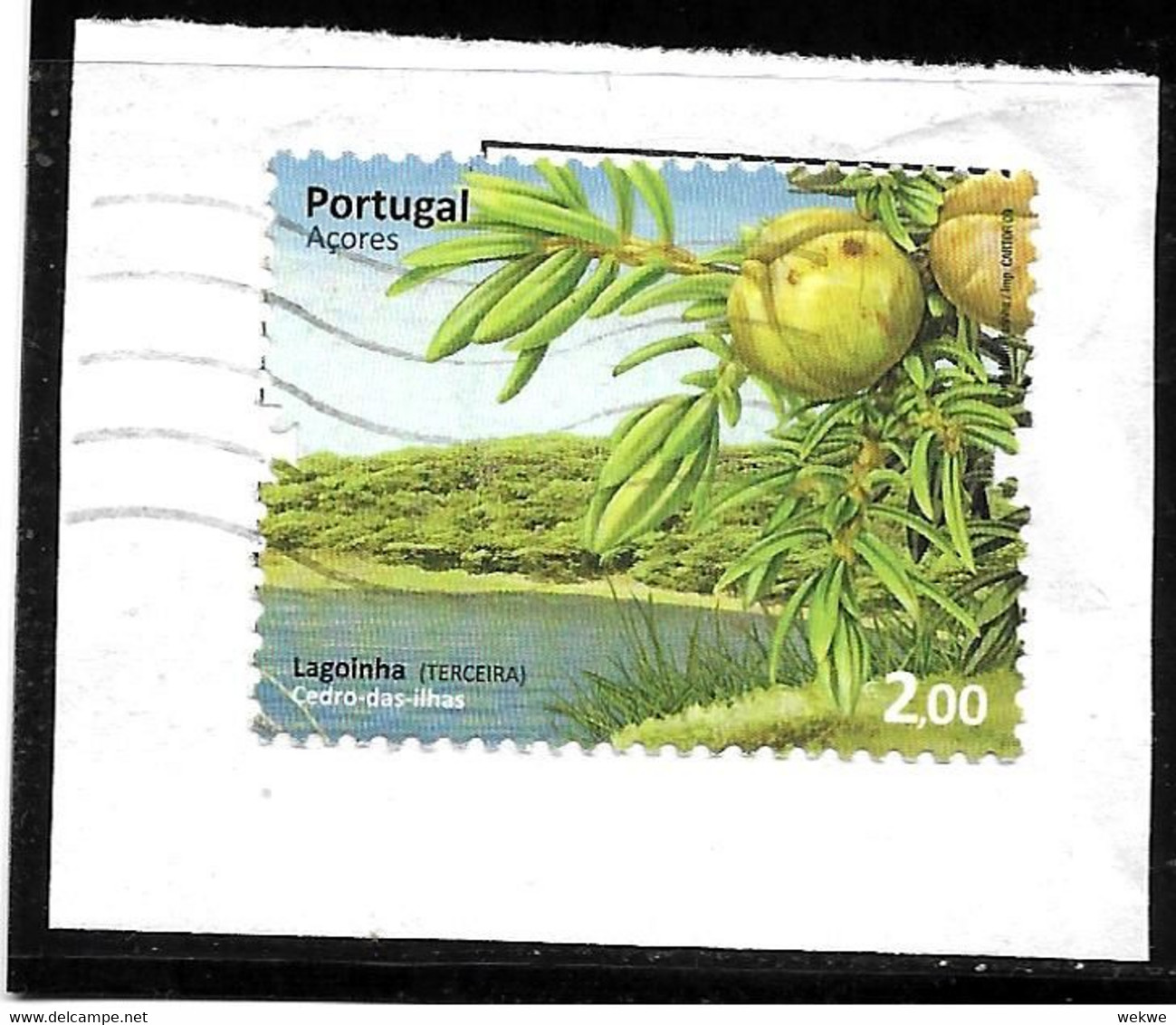 PORTUGAL006 / (Azores)  Fragment, Thema  Insel, Zeder 2009  O - Oblitérés