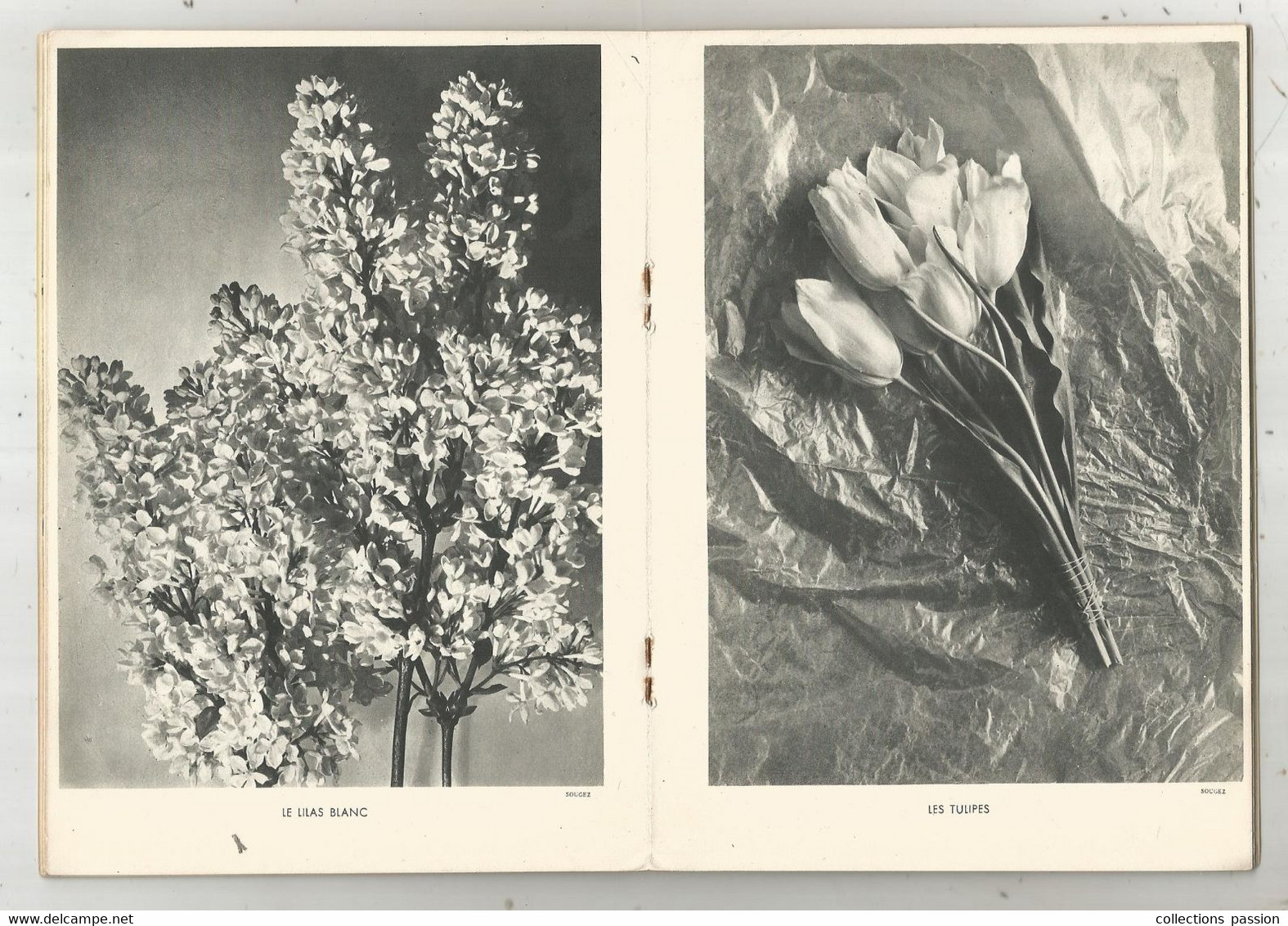 Photographie, Documents Photographiques , MIEUX VIVRE , LES FLEURS, N° 10 , 1937,  Frais Fr 2.25 E - Photographie