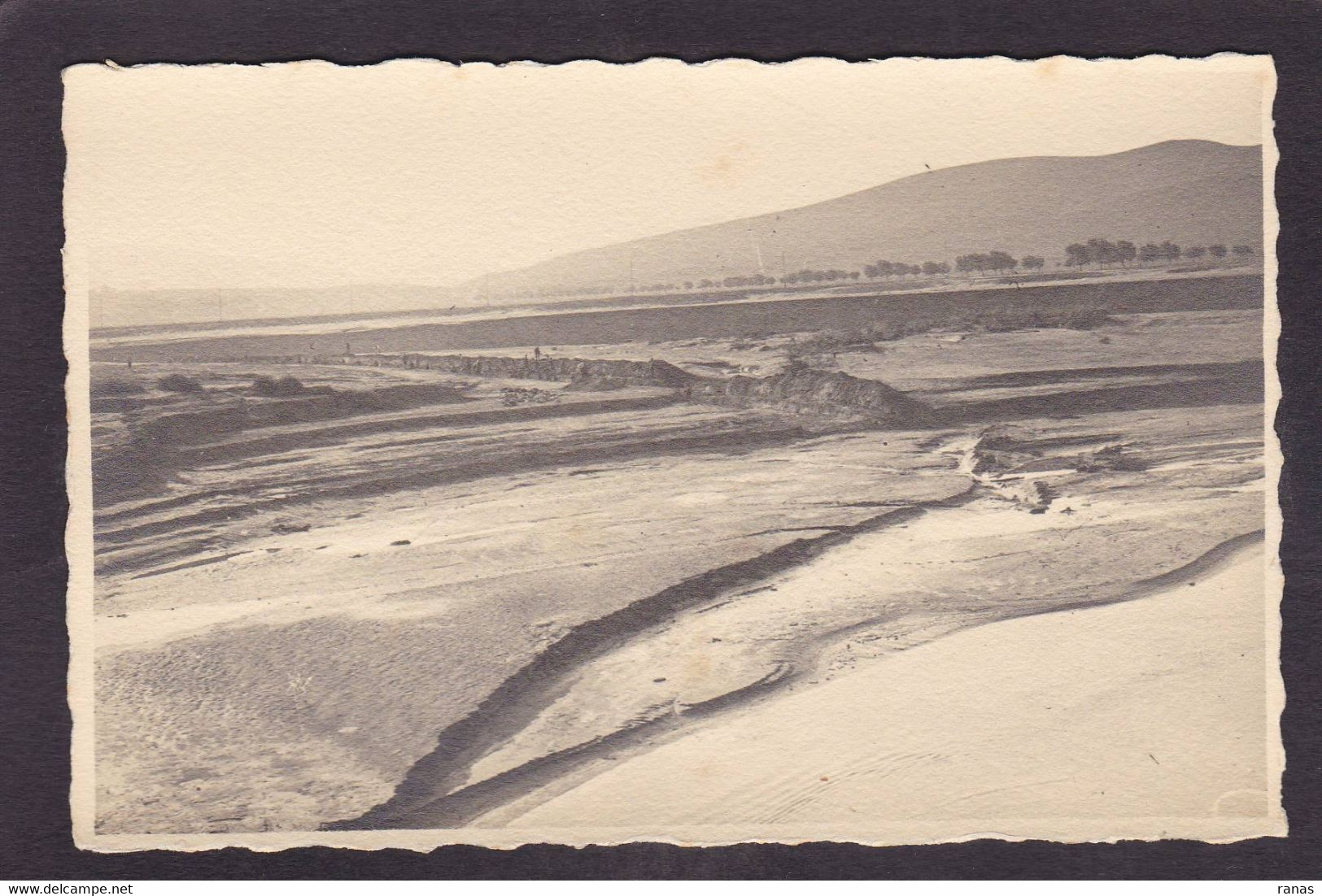 CPA Algérie Afrique Du Nord Carte Photo Voir Dos Perrégaux Mohammadia (Mascara) Catastrophe 1927 - Autres & Non Classés