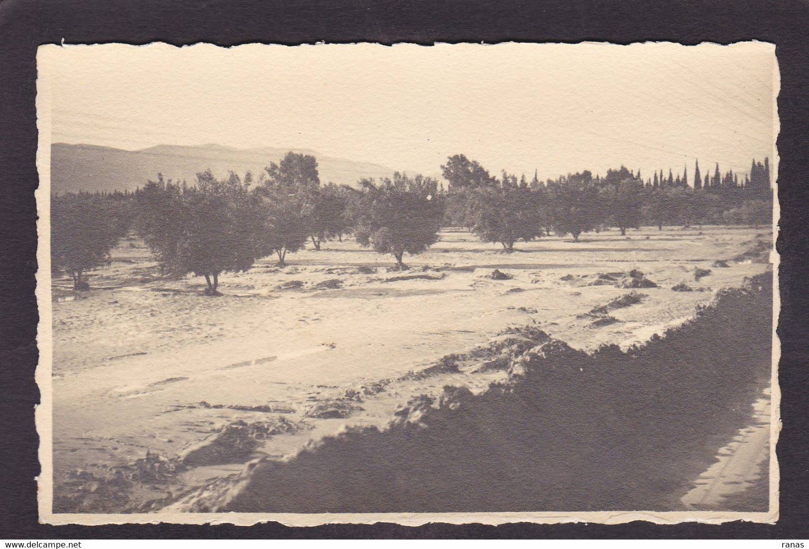 CPA Algérie Afrique Du Nord Carte Photo Voir Dos Perrégaux Mohammadia (Mascara) Catastrophe 1927 - Andere & Zonder Classificatie