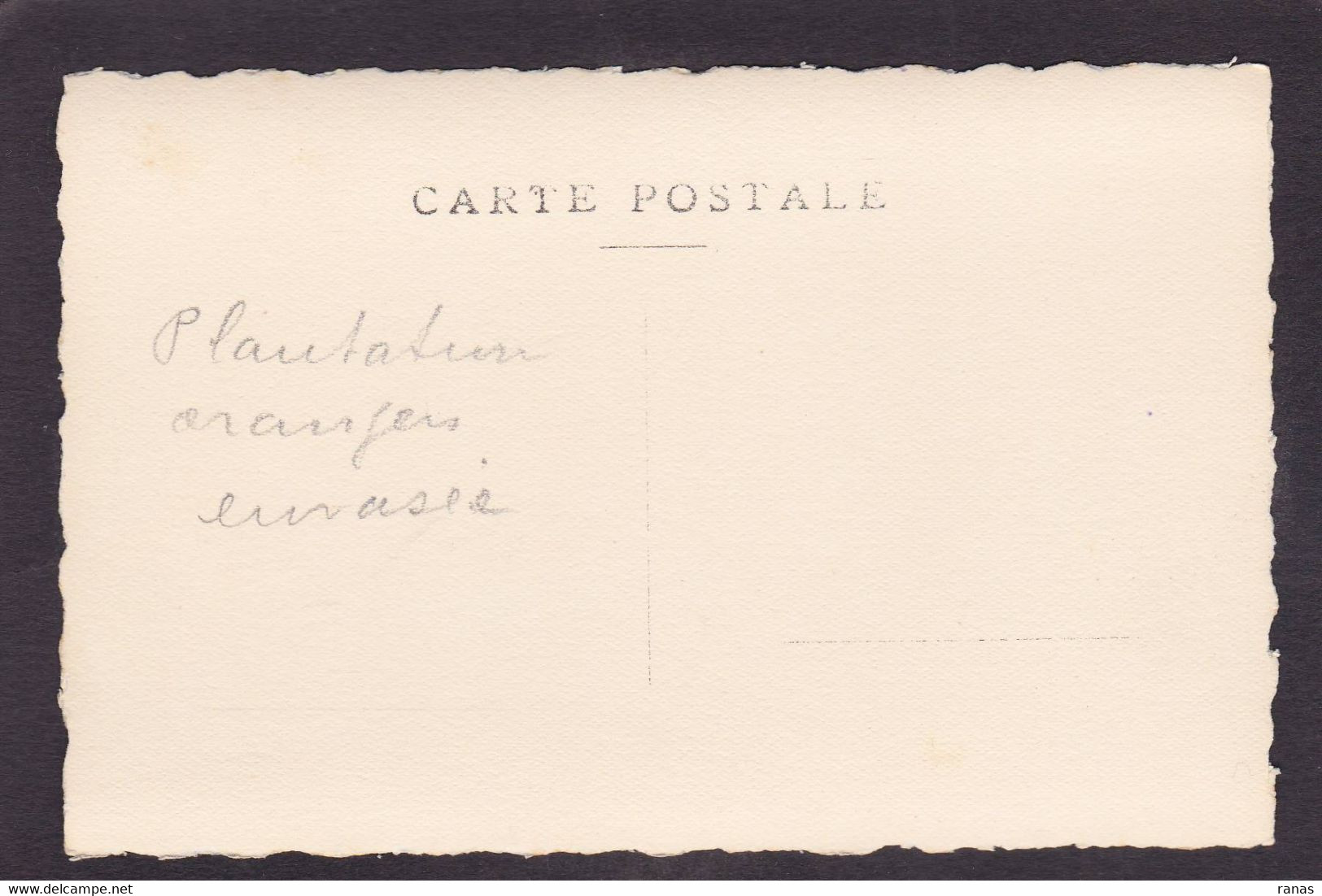 CPA Algérie Afrique Du Nord Carte Photo Voir Dos Perrégaux Mohammadia (Mascara) Catastrophe 1927 - Other & Unclassified