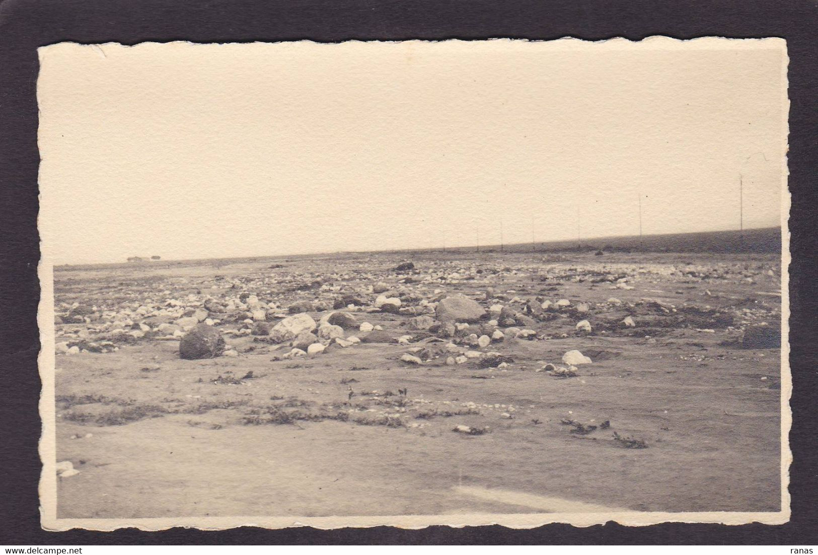 CPA Algérie Afrique Du Nord Carte Photo Voir Dos Perrégaux Mohammadia (Mascara) Catastrophe 1927 - Andere & Zonder Classificatie