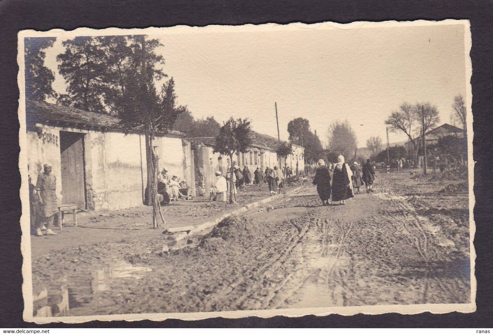 CPA Algérie Afrique Du Nord Carte Photo Voir Dos Perrégaux Mohammadia (Mascara) Catastrophe 1927 - Other & Unclassified