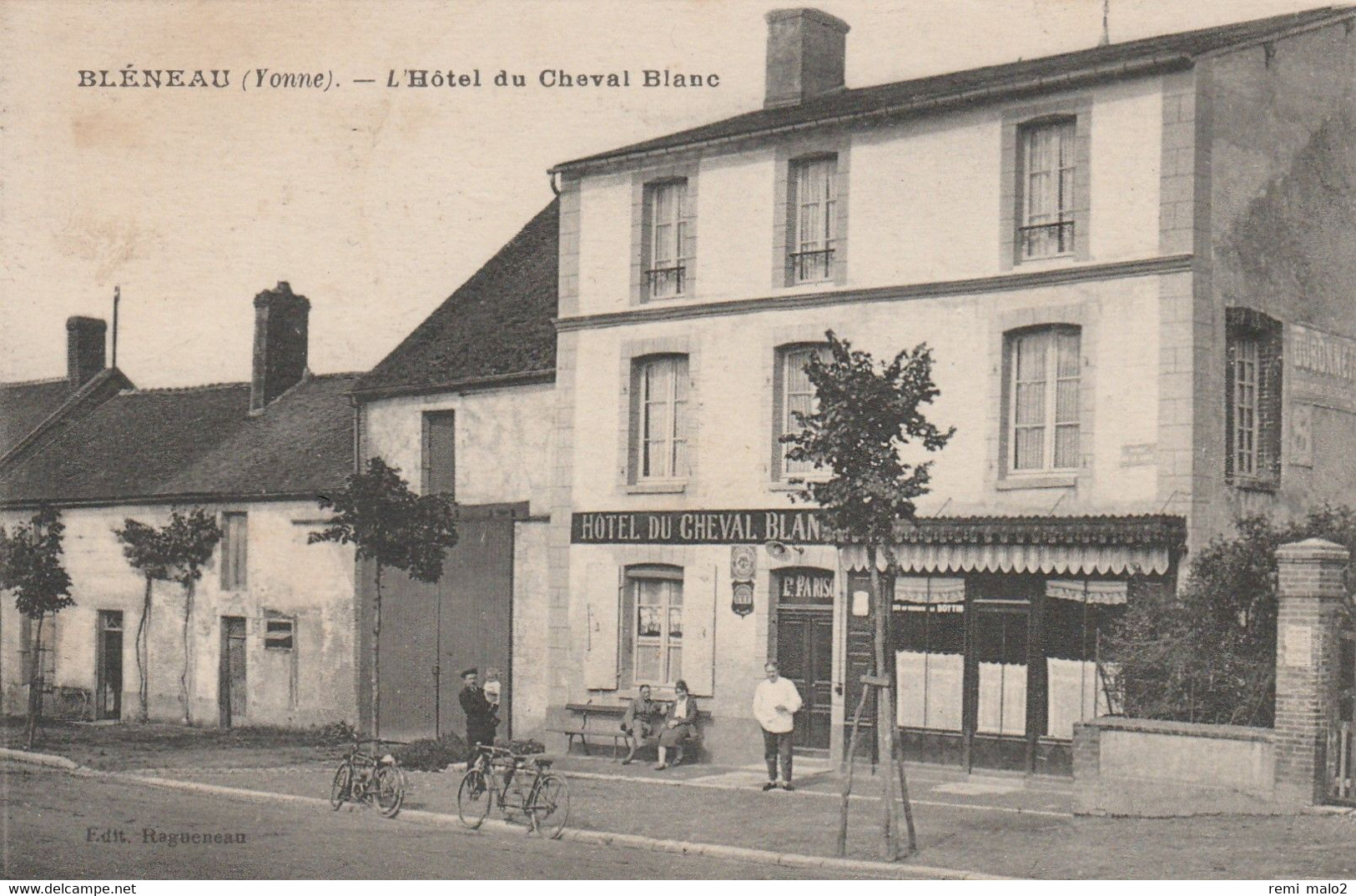 CARTE POSTALE   BLENEAU 89  L'hôtel Du Cheval Blanc - Bleneau