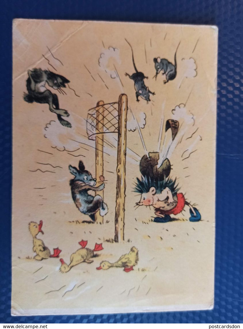 Sport. RUSSIA. ANIMAL VOLLEYBALL -  Hedgehog - Mouse - Cat - 1956 RARE! Humour - Volleyball