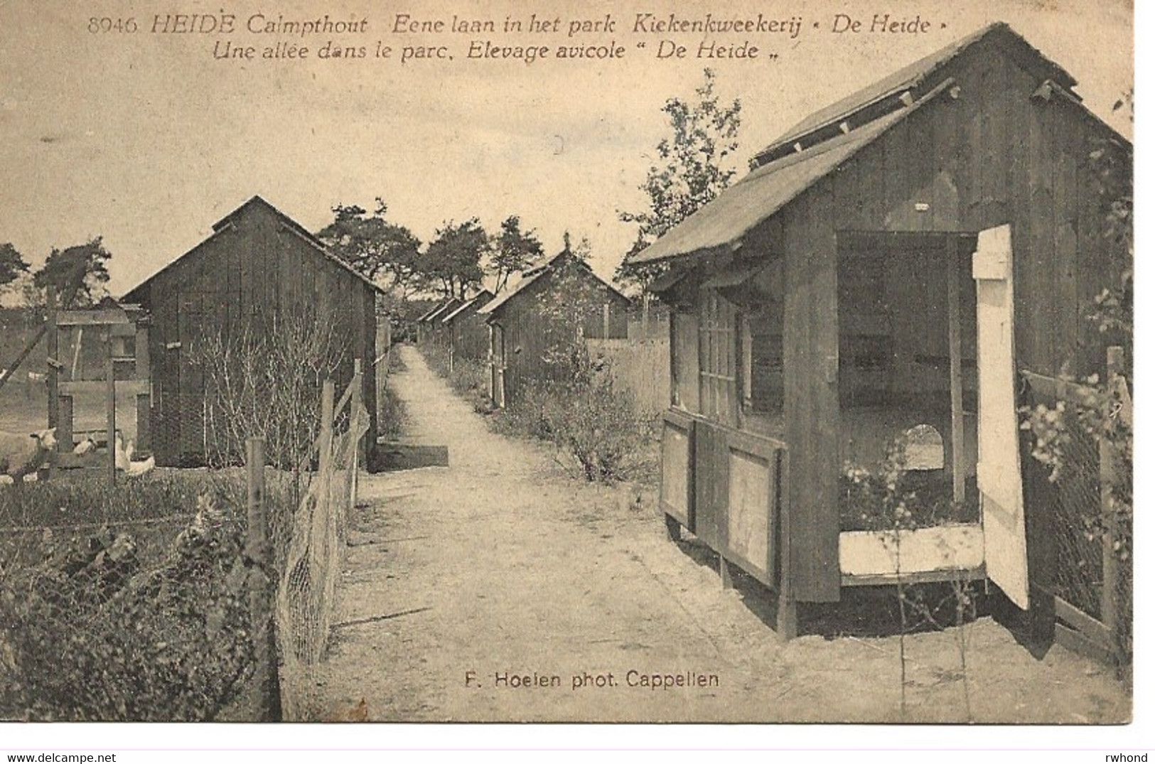 33 Calmpthout Heide Zicht In Het Park Kiekenkwekerij De Heide Uitg Hoelen 8946 - Kalmthout