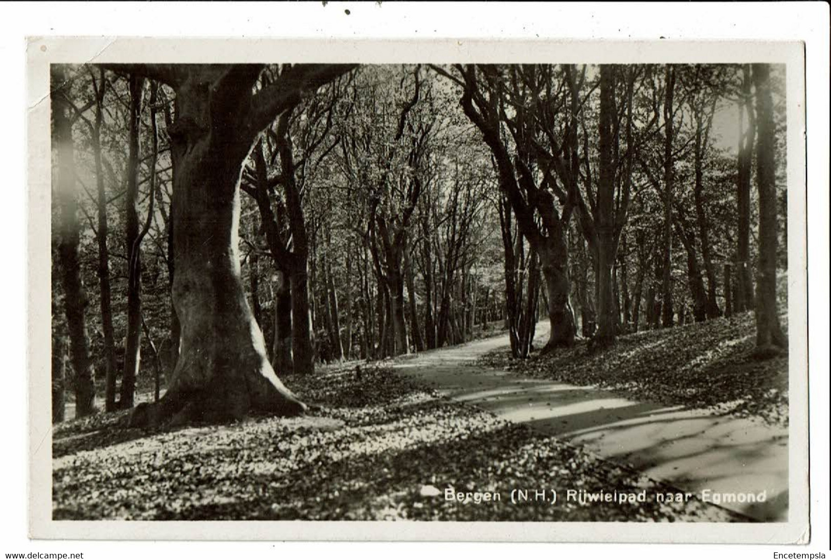 CPA-Carte Postale  Pays Bas-Bergen- Rijwielpad Naar Egmond-1947-VM23656br - Otros & Sin Clasificación