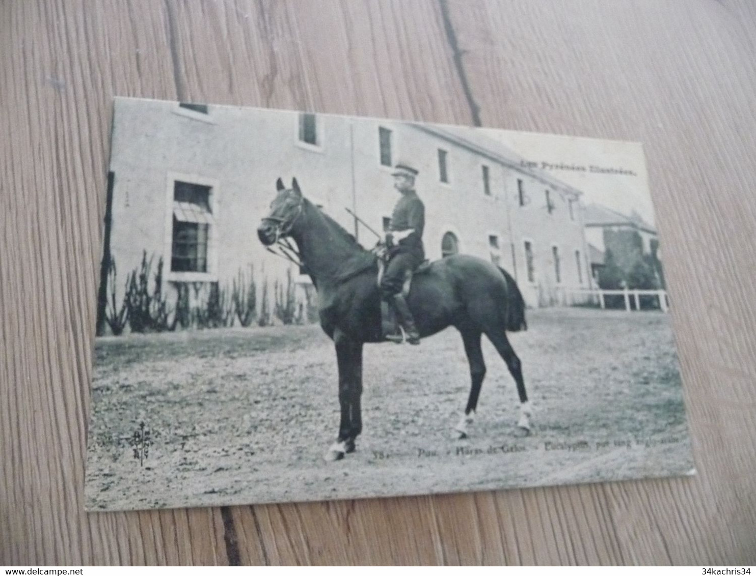 CPA 64 Pyrénées Atlantique  Archive Rogier Directeur Haras De Gélos Pau Cheval Horse Eucalyptus  Pur Sang Anglo-arabe - Pau