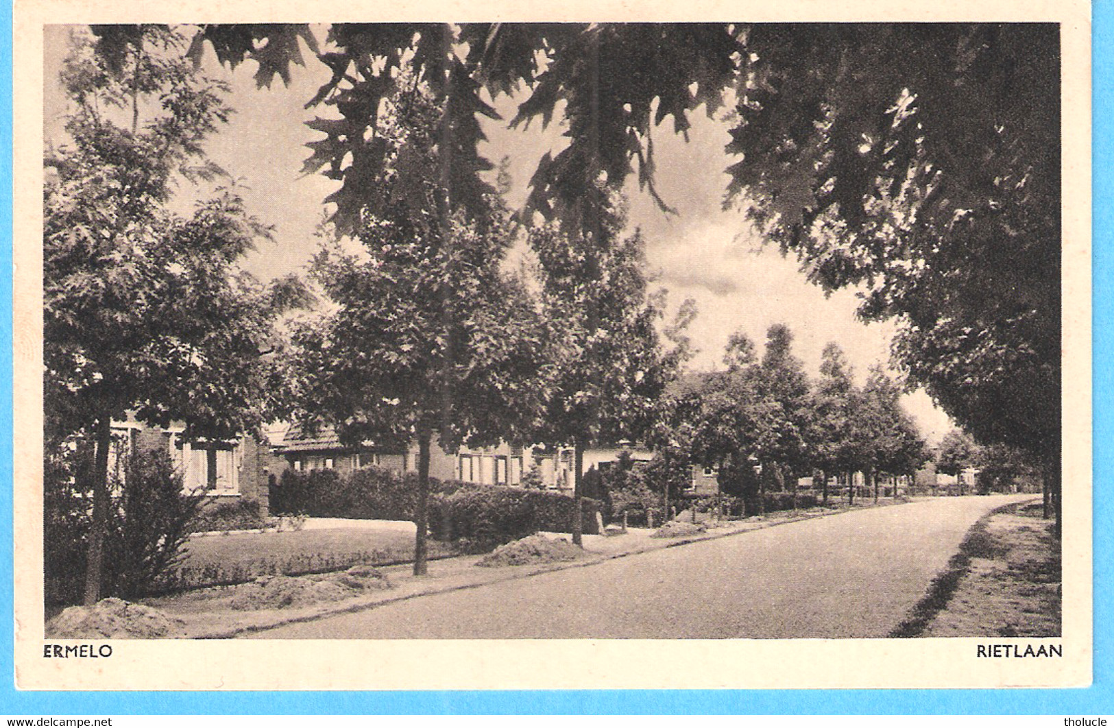 Ermelo-Gelderland-1949 Gelopen -Rietlaan - Ermelo