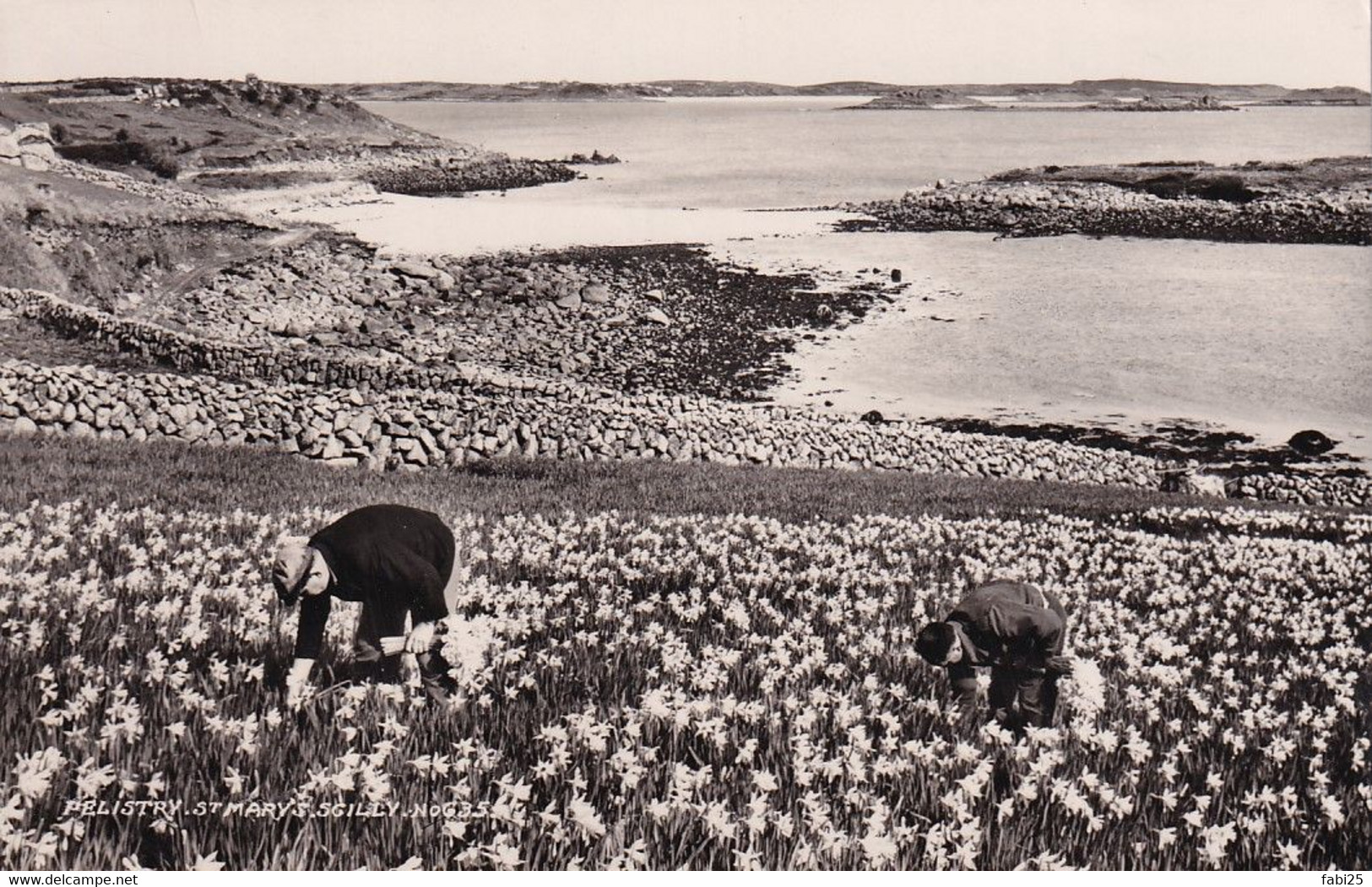 PELISTRY ST MARY S SCILLY - Scilly Isles