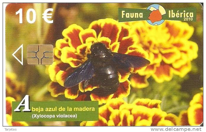 TARJETA  DE ESPAÑA DE LA ABEJA AZUL DE LA MADERA FAUNA IBERICA EN PERFECTO ESTADO - Bienen