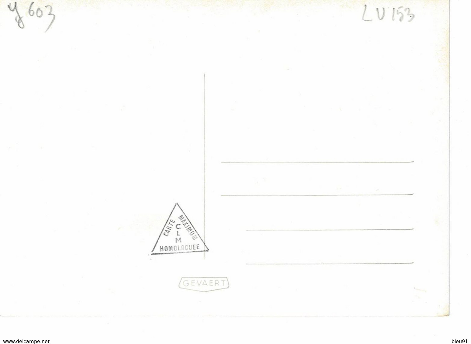 CARTE MAXIMUM  LUXEMBOURG / LA FAMILLE GRAND-DUCALE - Tarjetas Máxima