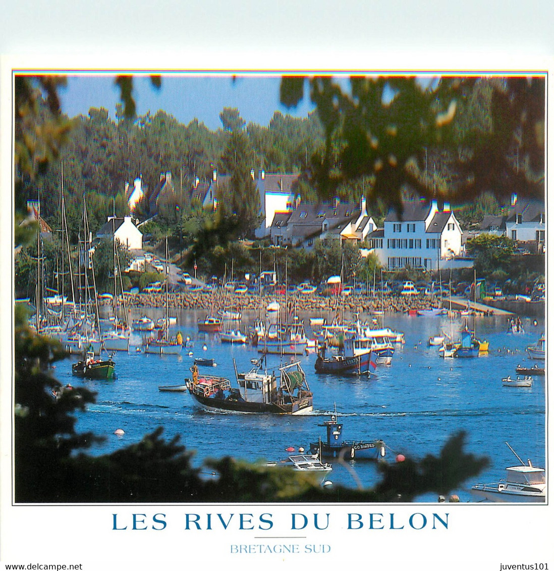 CPSM Les Rives Du Belon    L25 - Moëlan-sur-Mer