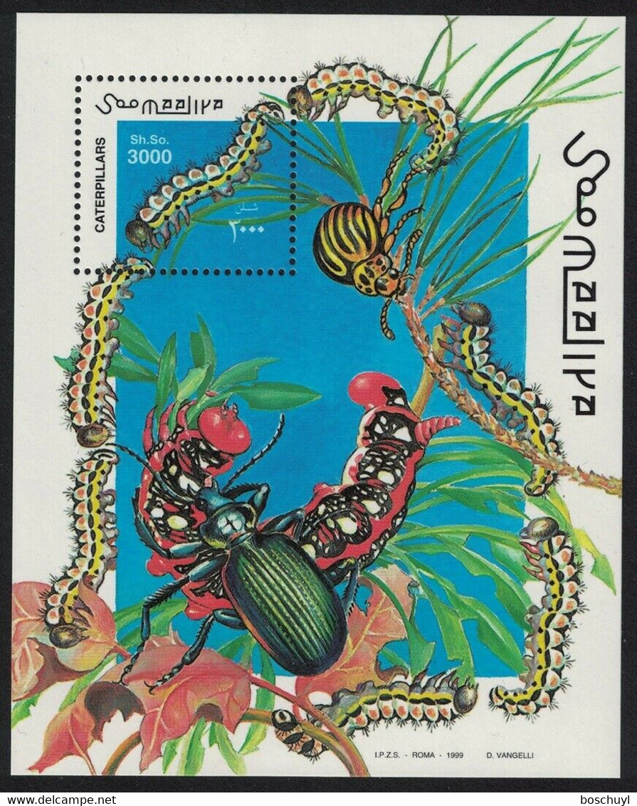 Somalia, 1999, Caterpillars, Beetles, Insects, Animals, MNH, Michel Block 61 - Somalia (1960-...)