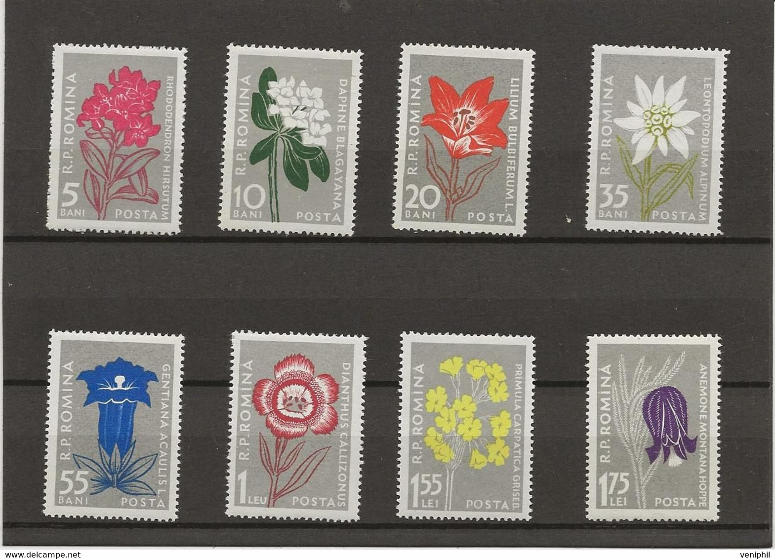 ROUMANIE - FLEURS DES CARPATES -SERIE N° 1517 A 1524 - INFIME CHARNIERE- ANNEE 1957  - COTE : 26,50 € - Autres & Non Classés