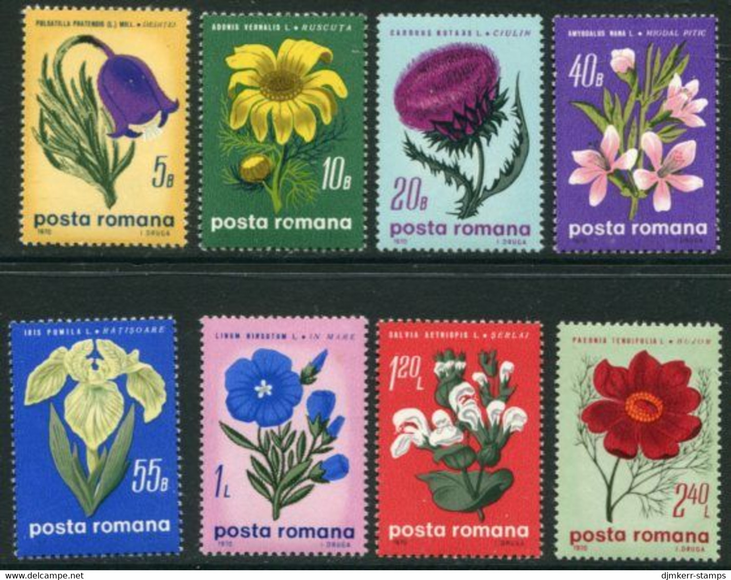 ROMANIA 1970 Steppe Flowers MNH / **.  Michel 2824-31 - Unused Stamps