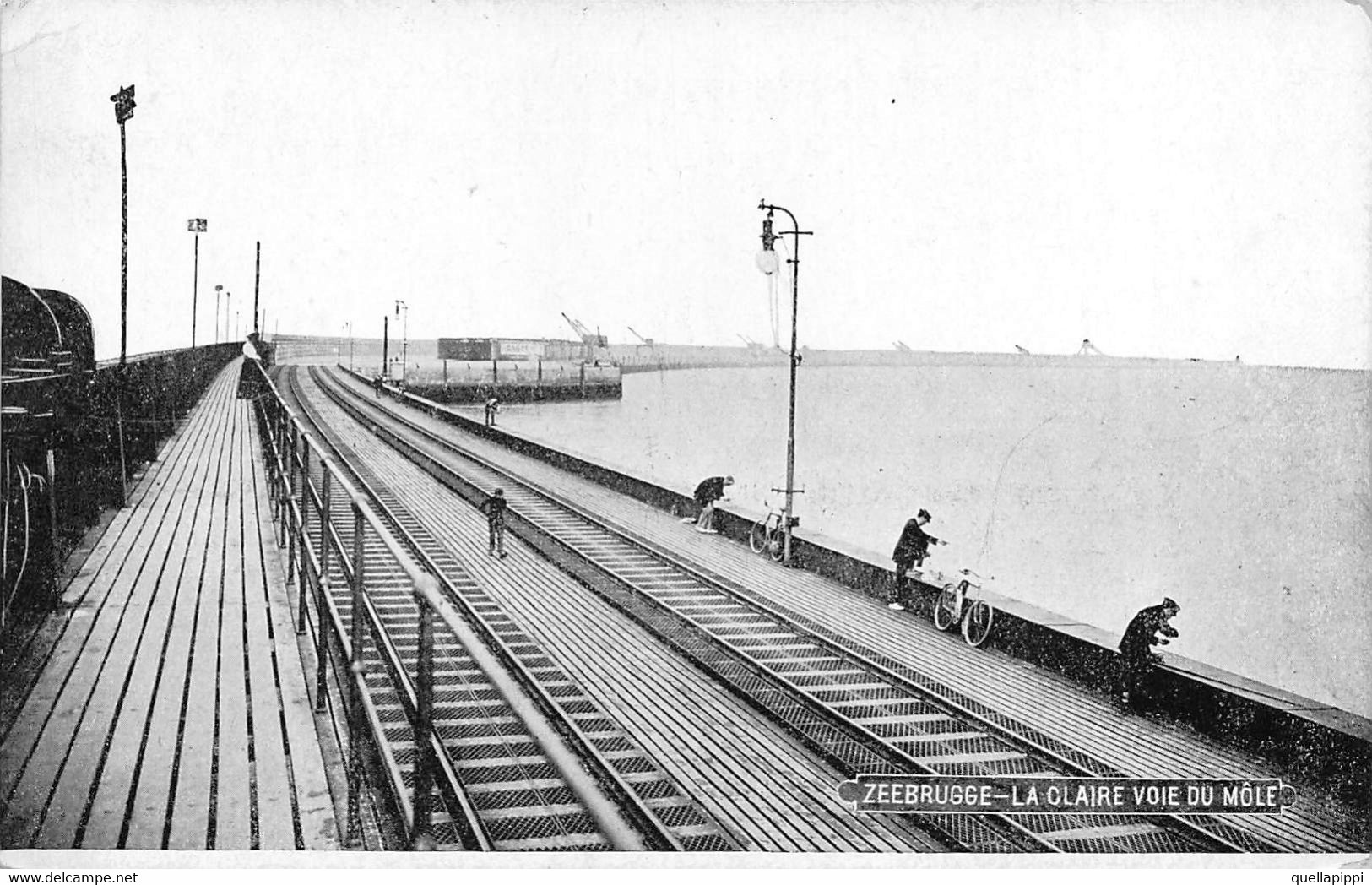 M011595 " ZEEBRUGGE-LA CLAIRE VOIE DU MÔLE" ANIMATA-FERROVIA-VERA FOTO CART  NON SPED - Zeebrugge