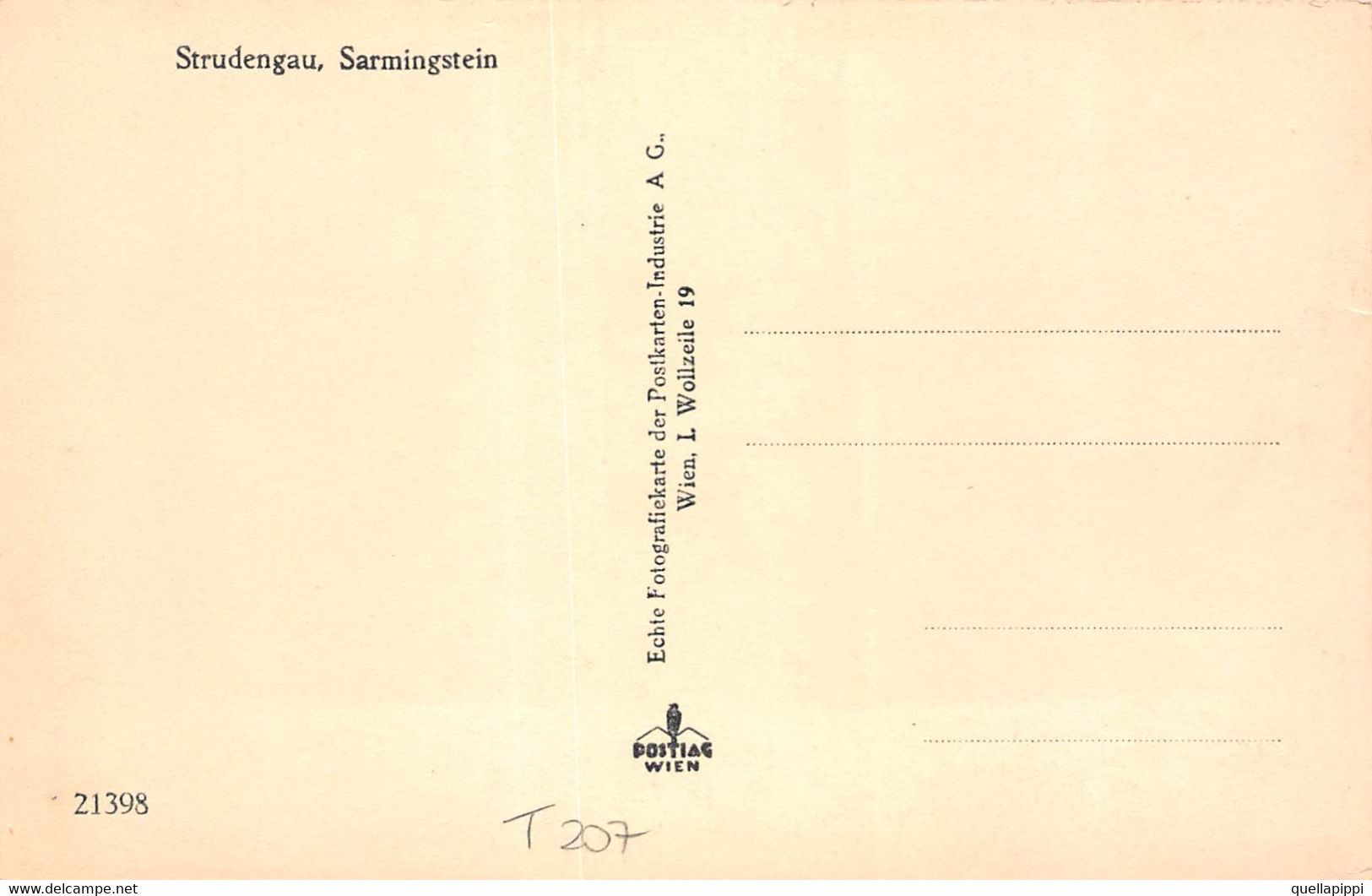 M011597" STRUDENGAU-SARMINGSTEIN " PANORAMA-VERA FOTO CART  NON SPED - Perg