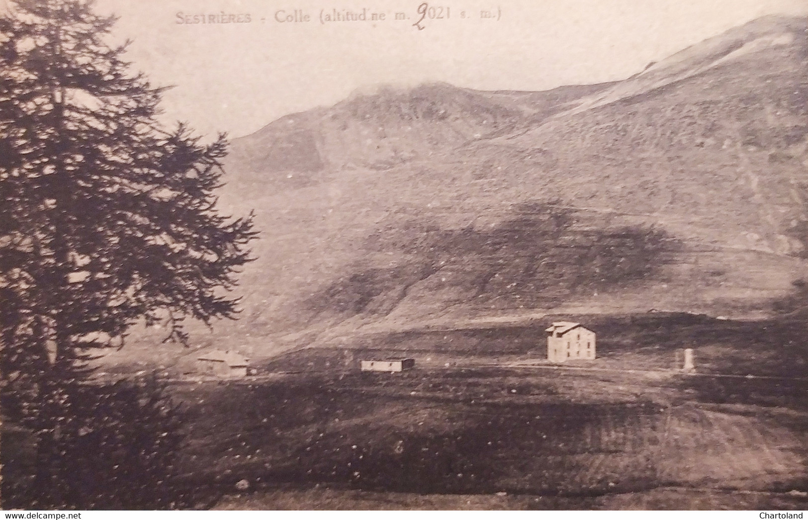 Cartolina - Sestriere ( Torino ) - Colle - 1921 - Andere & Zonder Classificatie