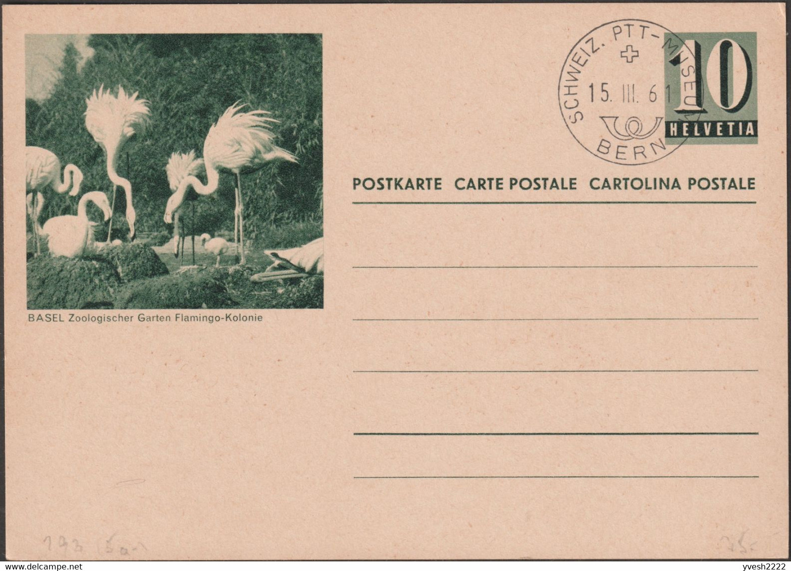 Suisse 1961. Entier Postal Touristique. Jardin Zoologique De Bâle. Colonie De Flamants - Flamencos