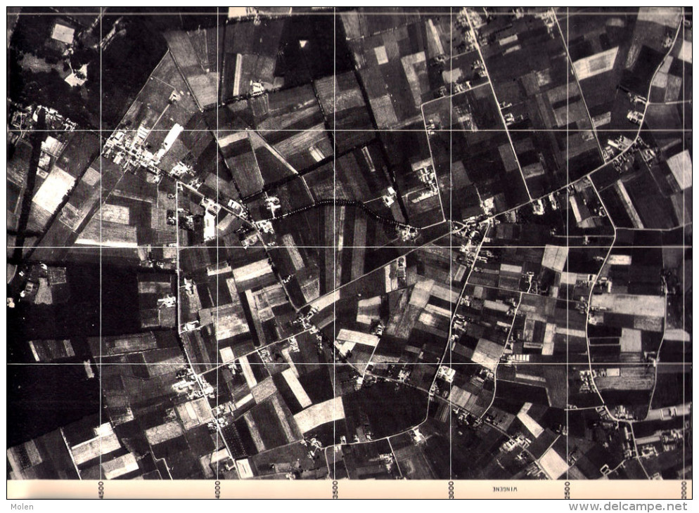 TOESTAND In 1971 GROTE LUCHT-FOTO Van WINGENE 63x48cm KAART ORTO PLAN 1/10.000 CARTOGRAPHIE PHOTO AERIENNE CARTE R233 - Wingene