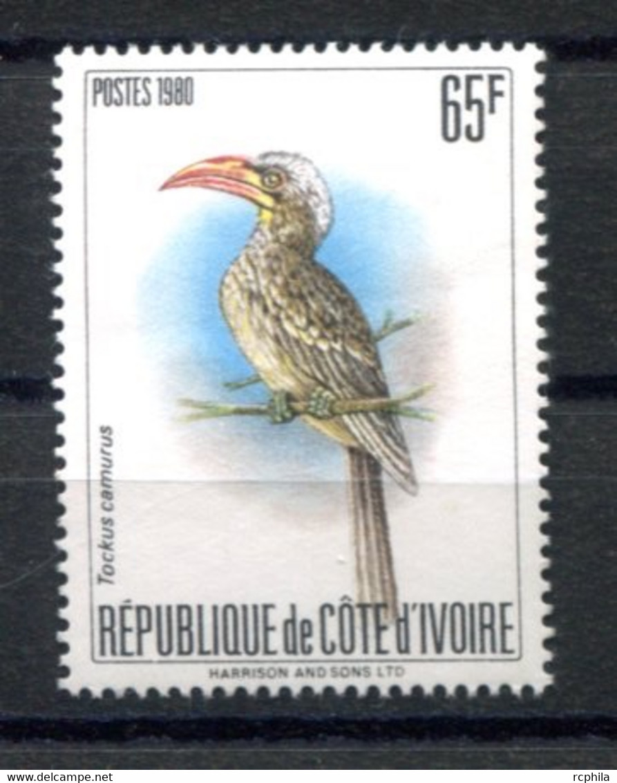 RC 18953 COTE D'IVOIRE COTE 150€ N° 565B TOUCAN FAUNE OISEAU NEUF ** B/TB ( VOIR DESCRIPTION ) - Côte D'Ivoire (1960-...)