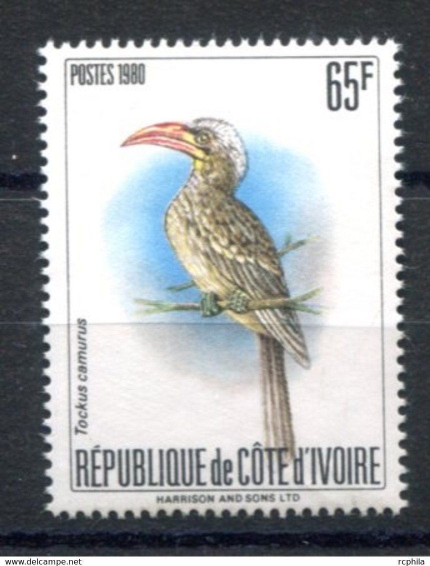 RC 18954 COTE D'IVOIRE COTE 150€ N° 565B TOUCAN FAUNE OISEAU NEUF ** B/TB ( VOIR DESCRIPTION ) - Côte D'Ivoire (1960-...)