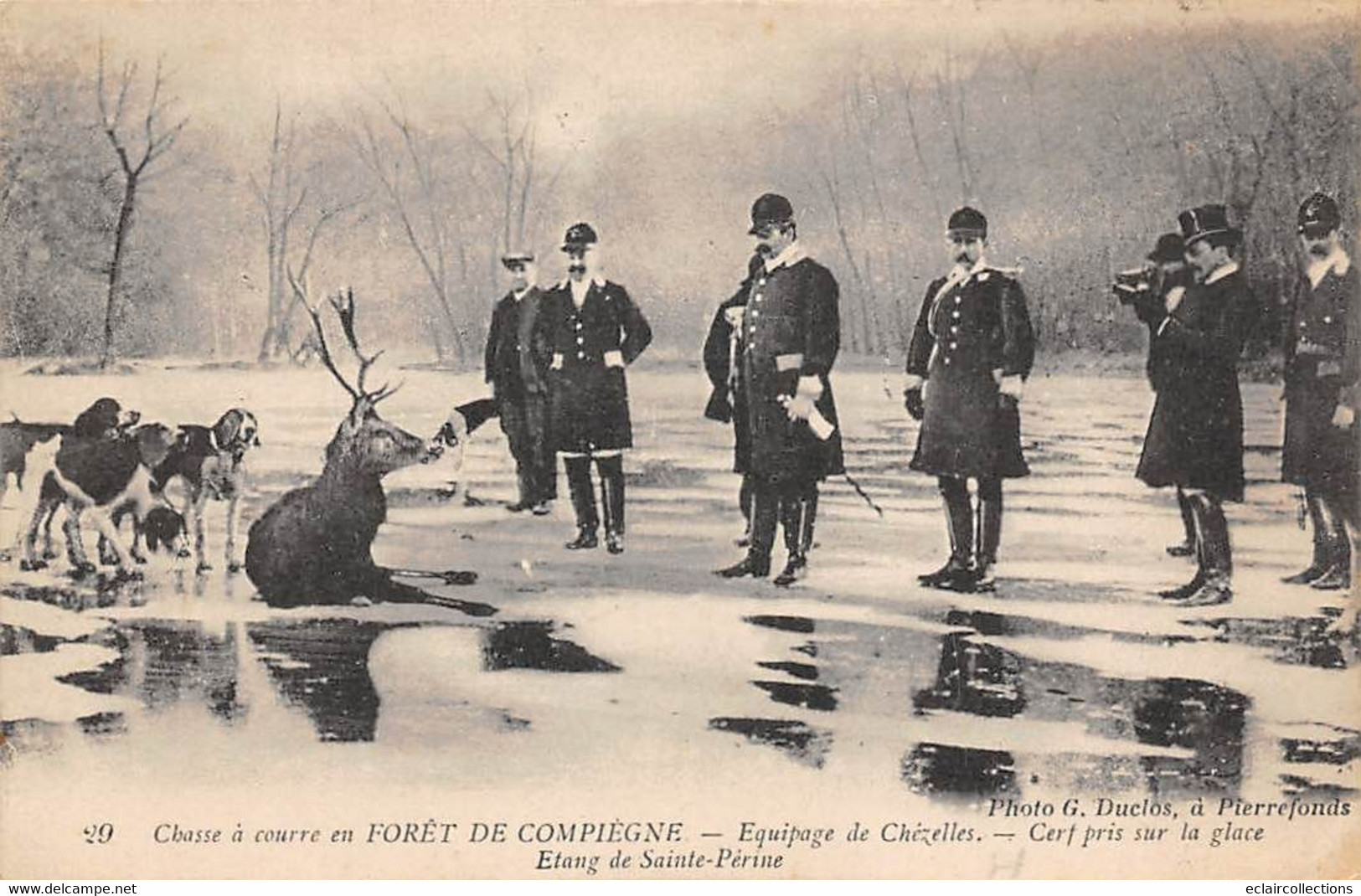 Compiègne     60        La Forêt: Chasse à Courre: Equipage De Chézelles Etang De Sainte-Périne .Cerf (voir Scan) - Compiegne