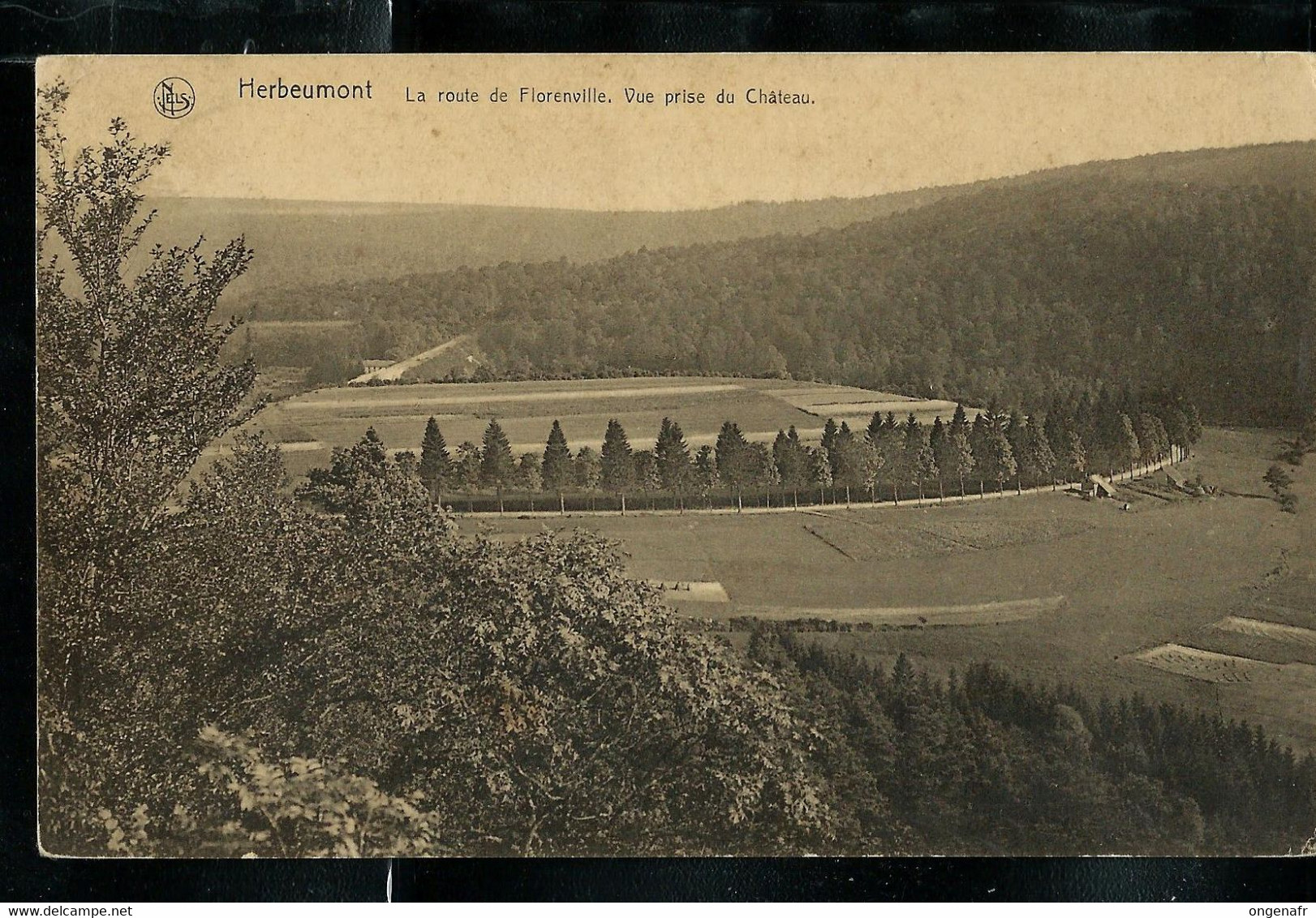 Carte-vue : Herbeumont (La Route De Florenville..) Obl. HERBEUMONT  13/08/1929 - Poste Rurale