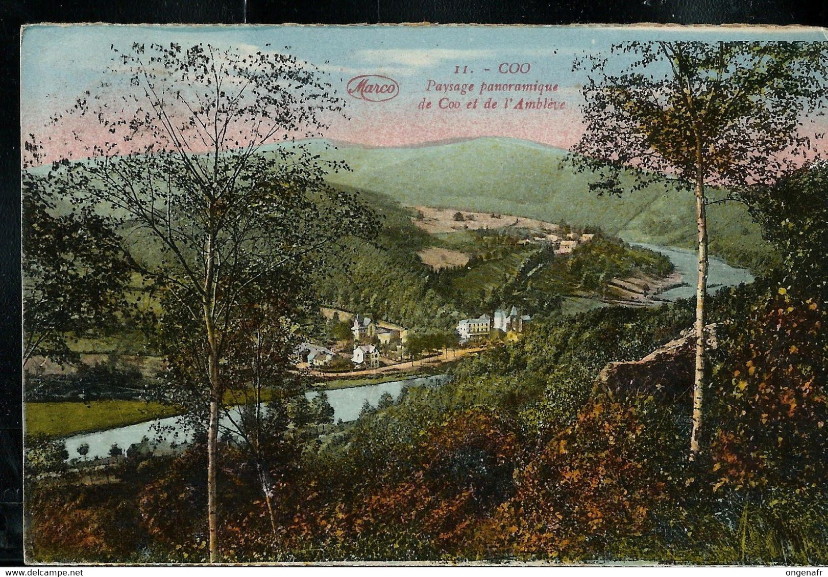 Carte-vue : Coo ( Paysage .. ) Obl. ROANNE - COO  27/08/1929 - Poste Rurale