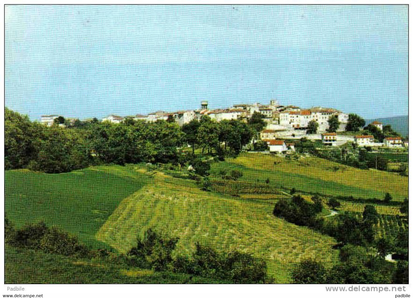 Carte Postale 81. Castelnau-de-Montmiral   Trés Beau Plan - Castelnau De Montmirail