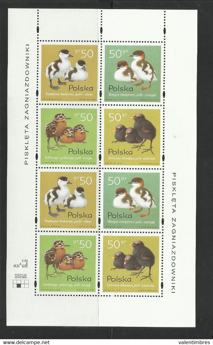 Pologne YT 3469/72 En Feuillet ** Poland Polen Polonia Polska Oiseaux Birds Aves Vogel - Volledige Vellen