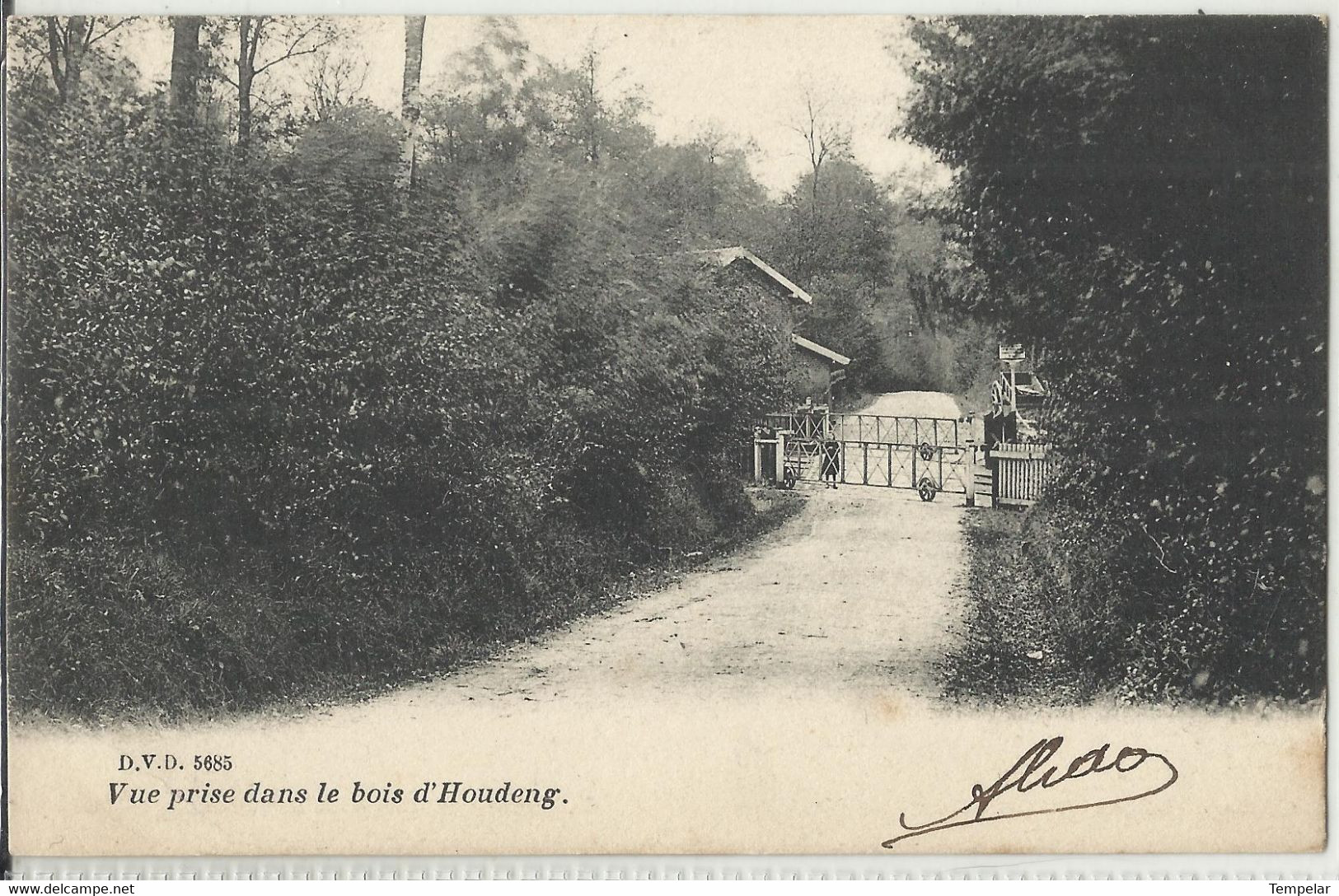 Vue Prise Dans Le Bois D'Houdeng (La Louvière) - D.V.D. N°5685 - 1906 - La Louviere