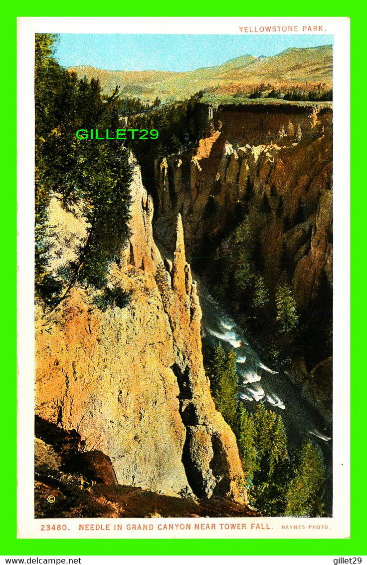 YELLOWSTONE, WY - NEEDLE IN GRAND CANYON NEAR TOWER FALL - YELLOWSTONE PARK - PUB. BY J. E. HAYNES - - Yellowstone