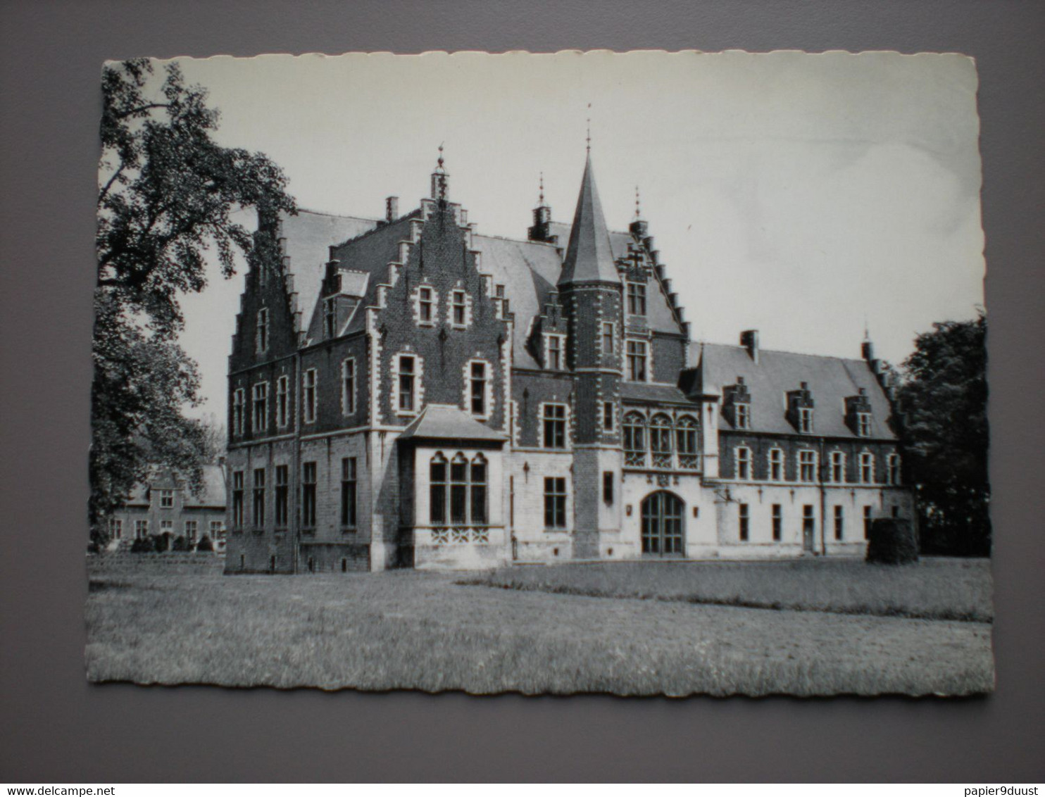 ELEWIJT - RUBENS KASTEEL - CHATEAU RUBENS - FOTOKAART GROOT FORMAAT - Zemst