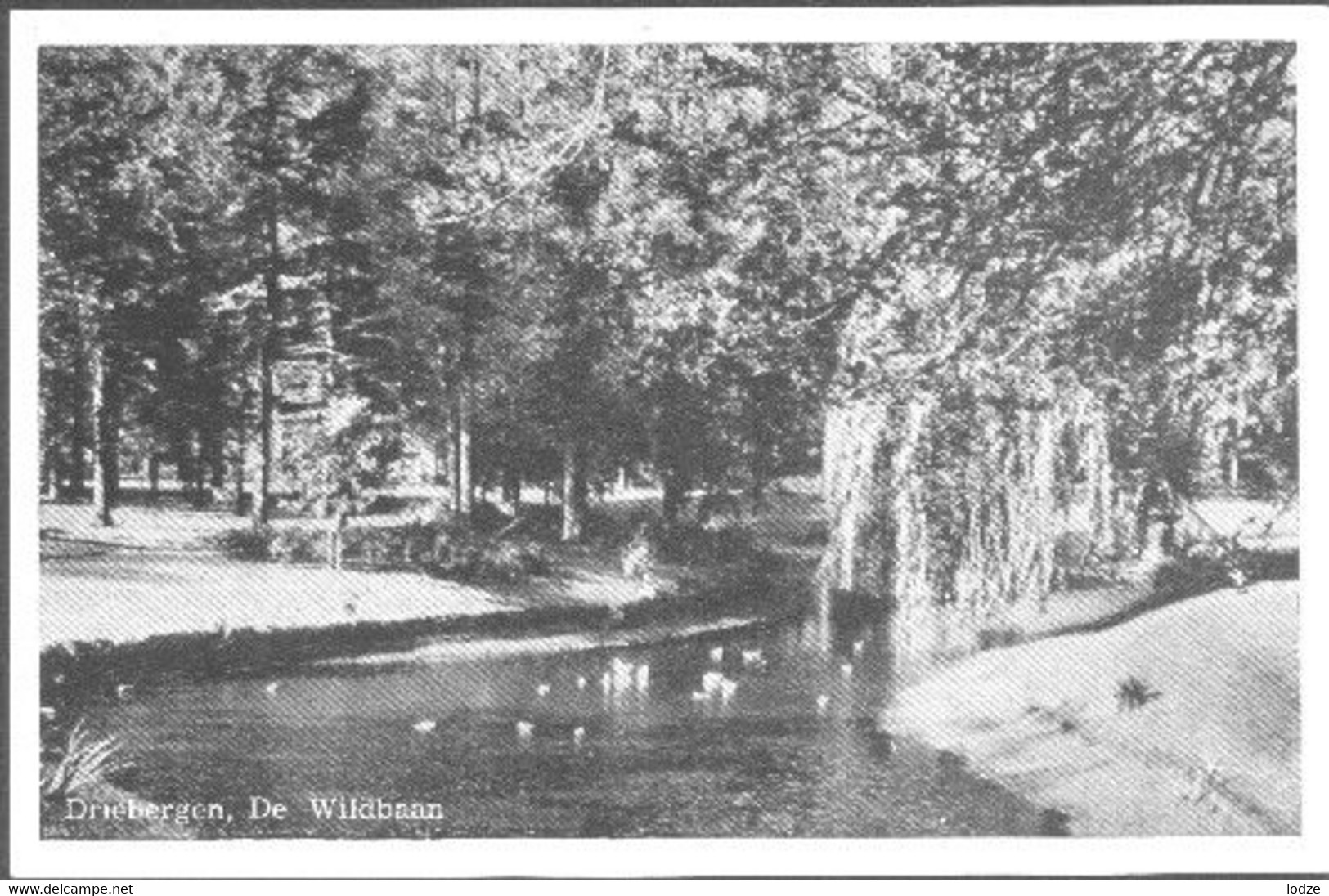 Nederland Holland Pays Bas Driebergen Met Wildbaan - Driebergen – Rijsenburg