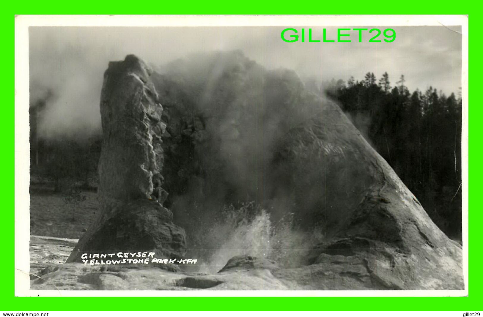 YELLOWSTONE, WY - GIANT GEYSER, YELLOWSTONE PARK -  WRITTEN - REAL PHOTOGRAPH - - Yellowstone