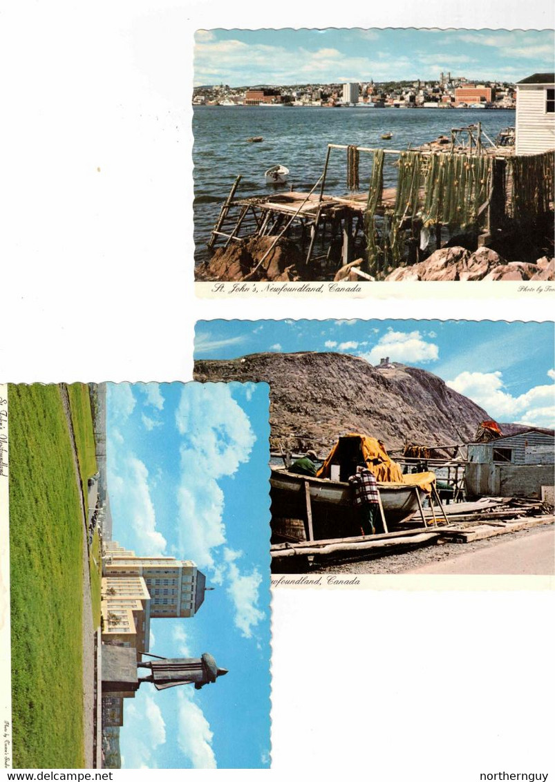 3 Different, ST. JOHN'S, Newfoundland, Canada, Old 4X6 Chrome Postcards - St. John's