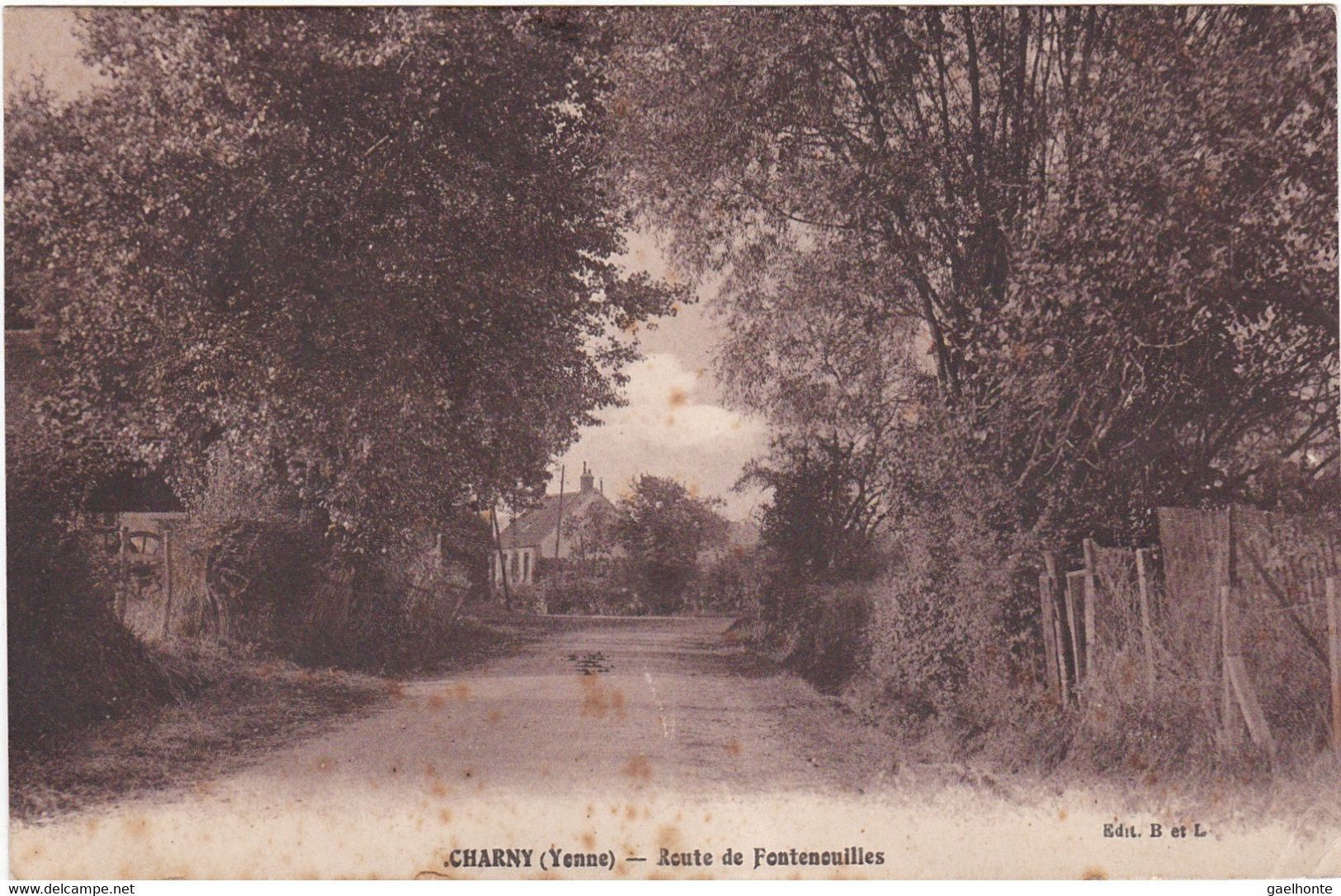 F4071 CHARNY - ROUTE DE FONTENOUILLES - Charny