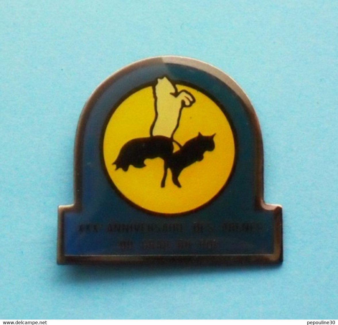 1 PIN'S  //   ** XXXème / 30ème ANNIVERSAIRE / DES ARENES DU GRAU DU ROI / GARD ** . (Saphir) - Bullfight - Corrida